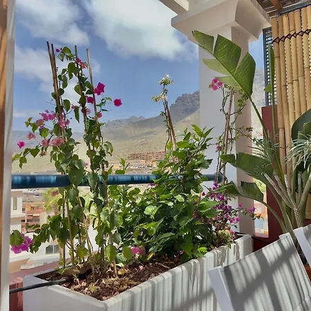 Sunset Hideaway-roque Del Conde Appartamento *